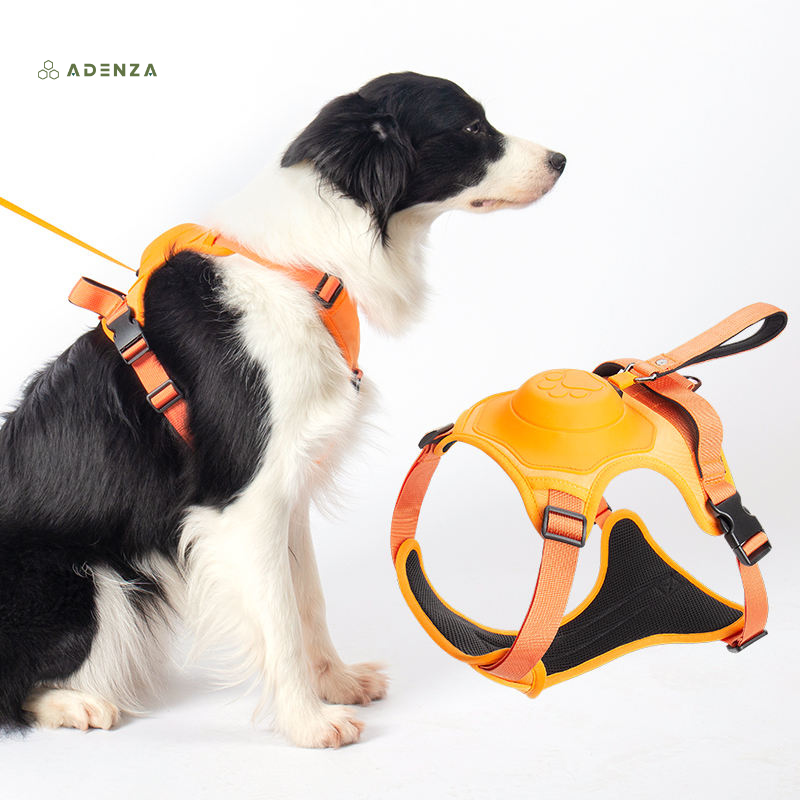 Petsafe™ 2-in-1 Hondentuigje | VANDAAG 50% KORTING!