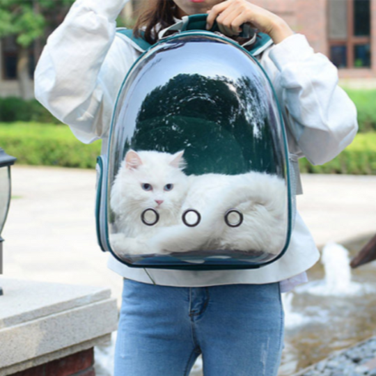 Cat Cruiser Backpack