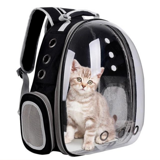 Cat Cruiser Backpack